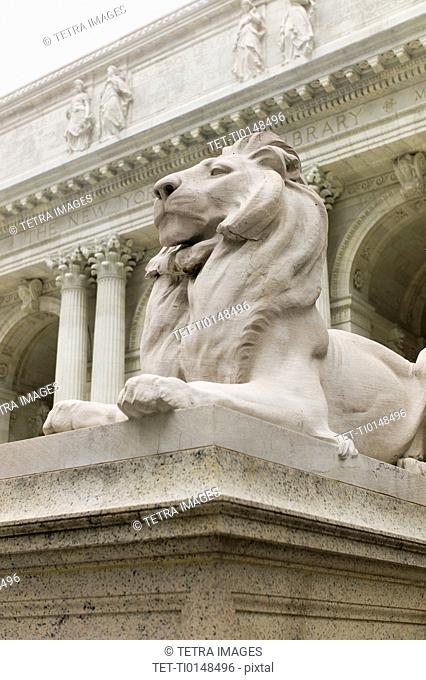 USA, New York, New York City, New York Public Library, Close up of sculpture of lion