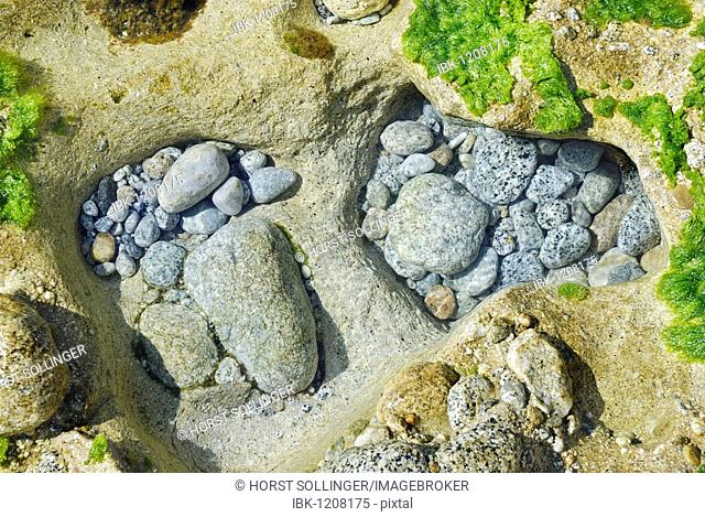 Tidal basin with granite stones ground smooth, Tyrrhenian Sea, Italy, Europe