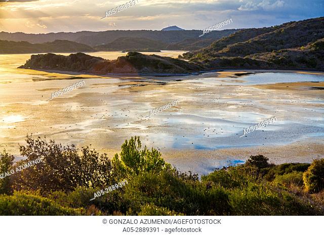 S'Albufera des Grau Natural Park. Mao Municipality. Minorca. Balearic Islands. Spain