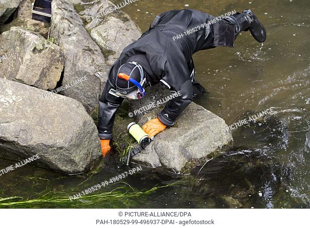 29 May 2018, Germany, Offenburg: An officer of the water police searching the Muehlbach river near the university of applied sciences in Offenburg as part of...