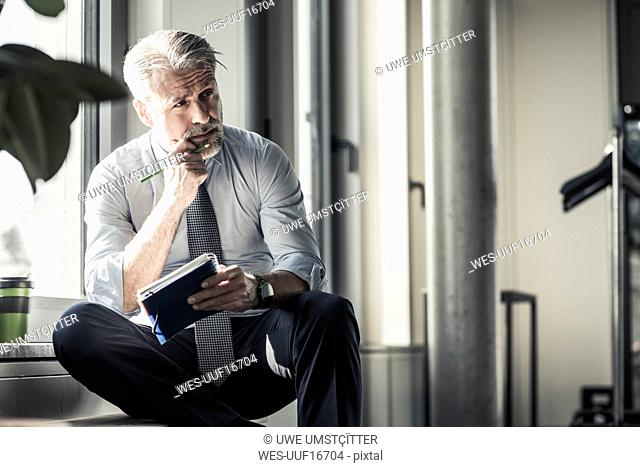 Mature businessman sitting at the window with notebook