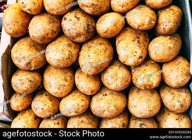 Potatoes forming background onlocal farmers market Potatoes forming background onlocal farmers market