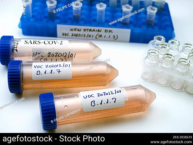 Laboratory research new strain of British sars-cov-2 scientifically named VOC 202012/01 (B. 1. 1. 7), conceptual picture