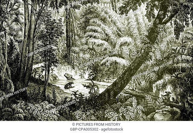 Laos: Virgin forest, encountered by French expeditioner Louis Delaporte around the Mekong between Nong Khai (Siam) and Pak Lay (central Laos) in April 1867