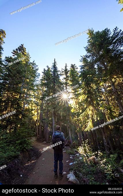 Young man on a hiking trail in the forest, sun shining through trees in the forest, hiking trail to Garibaldi Lake, Garibaldi Provincial Park, British Columbia