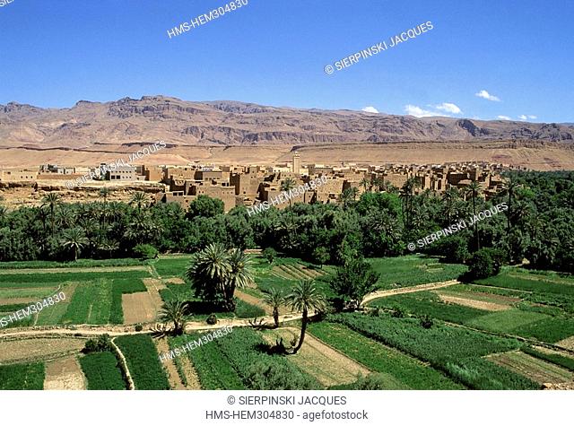 Morocco, High Atlas, Todgha Valley, Tineghir Oasis