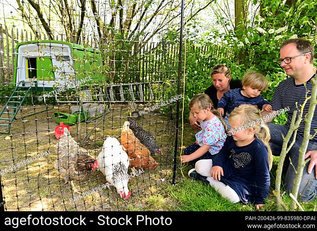 17 April 2020, Hessen, Kassel: Jacky (h) and Jan Rassek (r) feed their rental chickens with their children Ella (l), Amelie (v) and Louie (M)