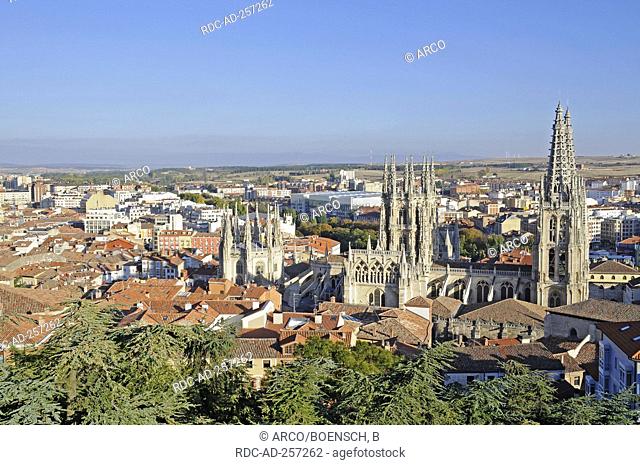 Cathedral Burgos Way of St James province Castile and Leon Spain