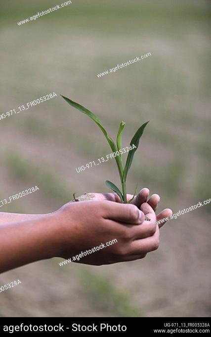Young man holding young plant in hir hands. Micro finance and ecology concept