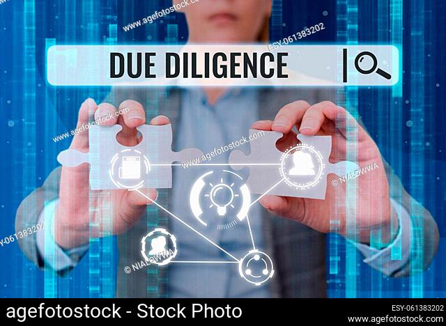 Conceptual caption Due Diligence, Word Written on Comprehensive Appraisal Voluntary Investigation Audit Lady in suit holding two puzzle pieces representing...