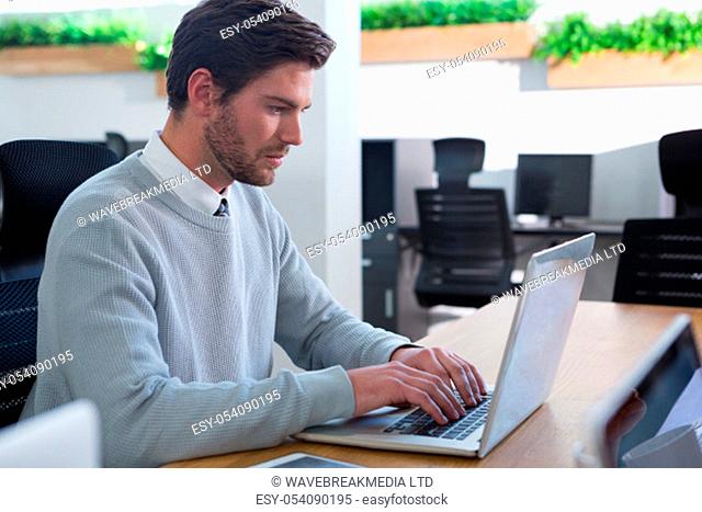 Male executive working on his laptop in the office