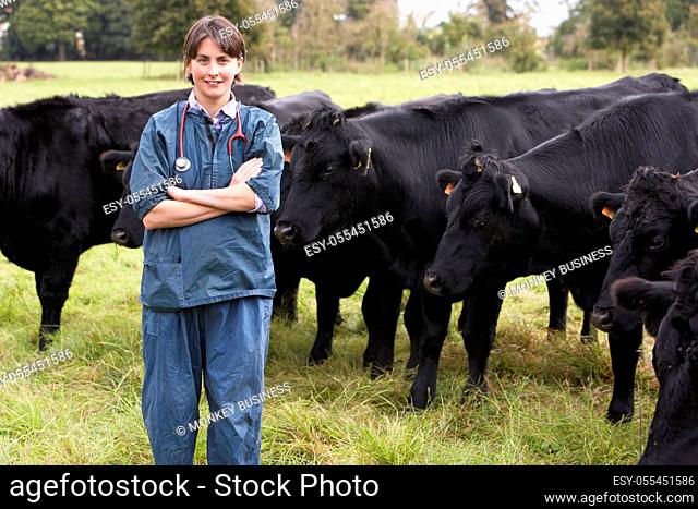 cow paddock, cattle breeding, veterinarian