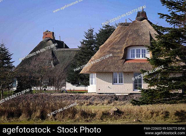 04 March 2022, Schleswig-Holstein, Wyk: A new thatched house (r) stands in a settlement near the Golf Club Föhr and the airfield Wyk at Greveling Strand between...