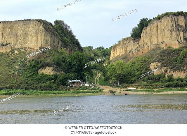 Stara Pazova, Surduk, Serbia, Surduk on the Danube, Vojvodina Province, Srem District, Stara Pazova municipality, Danube landscape, river landscape, Danube bank