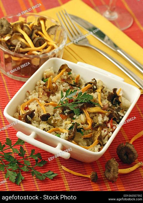 Rice with mushrooms and vegetables. Yellow foot fungus