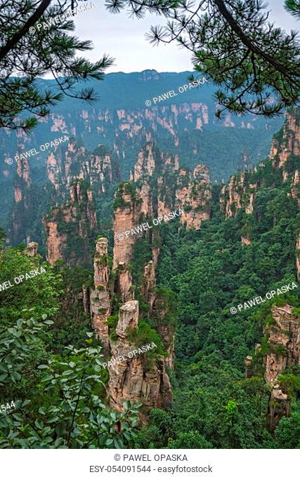 Vertical view of the stone pillars of Tianzi mountains in Zhangjiajie National park which is a famous tourist attraction, Wulingyuan, Hunan Province, China
