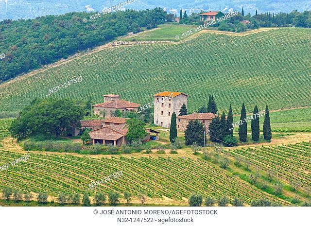 Chianti, Ricasoli Vineyards, Castello di Brolio, Brolio Castle, Siena Province, Tuscany, Italy