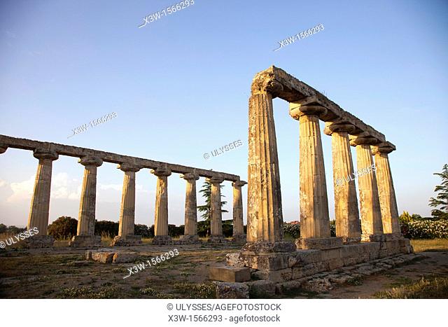 doric temple, sanctuary of hera, palatine tables, archaeological site of metaponto, bernalda, province of matera, basilicata, italy, europe
