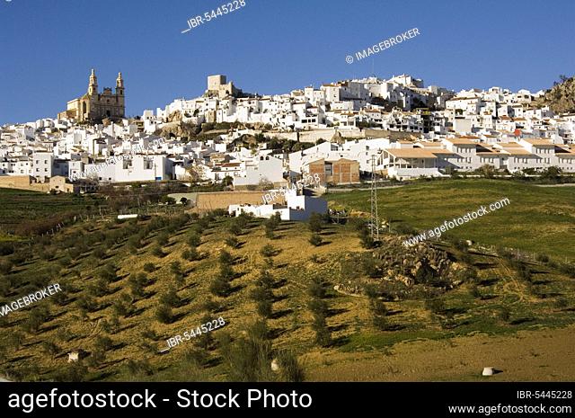 Olvera with Encarnacion Church and Moorish Fortress, White Villages, Pueblos Blancos, Andalusia, Spain, Moors, Europe
