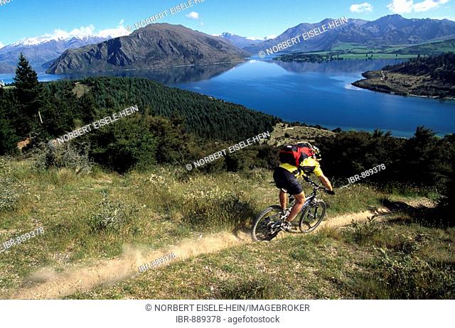 Mountainbiker, Fishermen's Track, Lake Wanaka, South Island, New Zealand