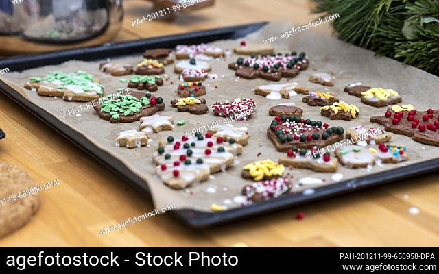10 December 2020, Saxony-Anhalt, Magdeburg: Homemade Christmas cookies lie on a baking tray with baking paper. Photo: Stephan Schulz/dpa-Zentralbild/ZB