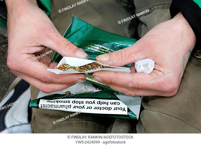 Hands rolling a cannabis joint mixed with tobacco