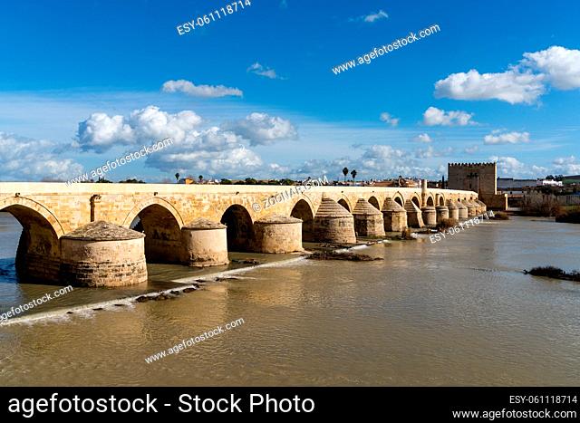 Cordoba, Spain - 30 January, 2021: view of the Roman Bridge and Guadalquivir River in Cordoba