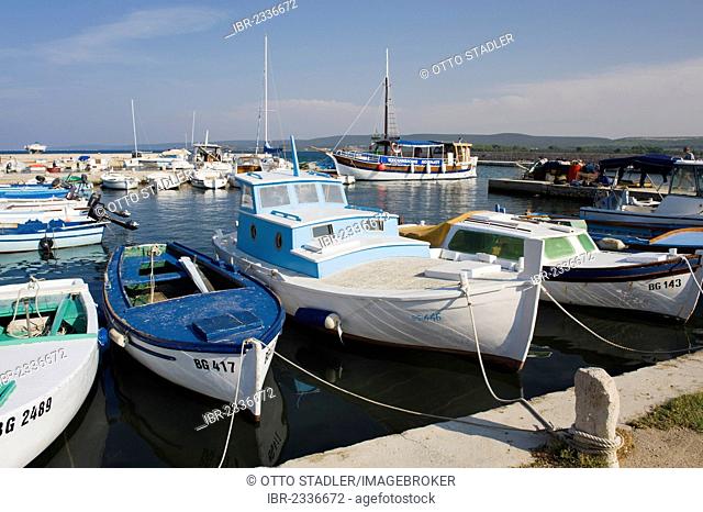 Fishing boats in the port of Pasman, Pasman Island, Adriatic Sea, Zadar, Dalmatia, Croatia, Europe