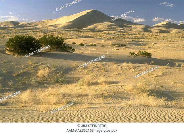Kelso Dunes at Mojave Nat'l. Preserve, up to 700' high, CA
