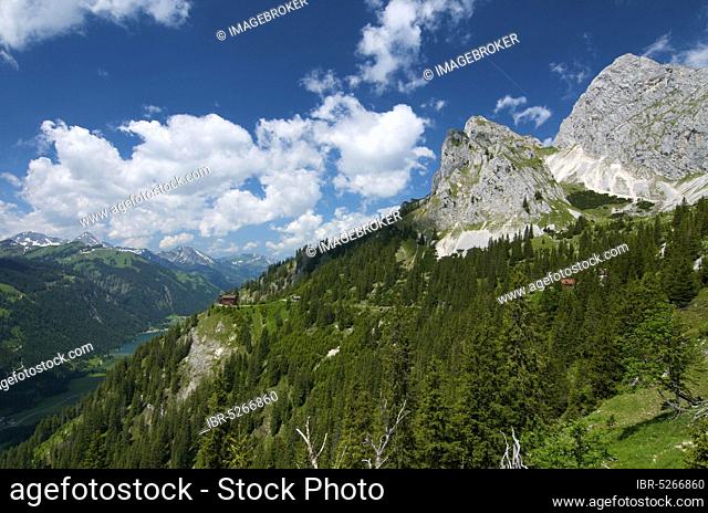 Tannheimer Berge, Tannheimer Tal, Allgäu, Bavaria, Germany, Europe