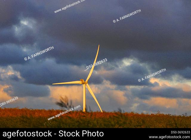 Hirtshals, Denmark A wind turbine blowing in the wind and a field at sunset