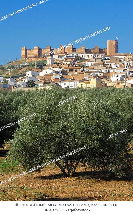 Burgalimar Castle, Baños de la Encina, province of Jaen, Andalusia, Spain, Europe