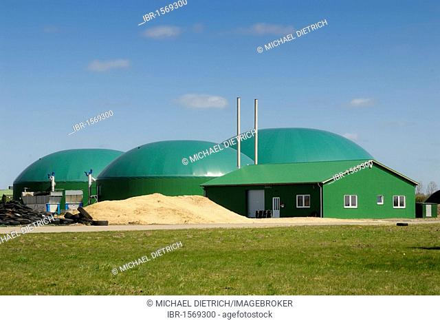 Agricultural biogas plant, biomass power plant with cogeneration unit, CHP, for electricity and heat production