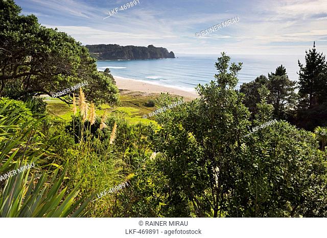 Hot Water Beach, Coromadel Peninsula, Waikato, North Island, New Zealand