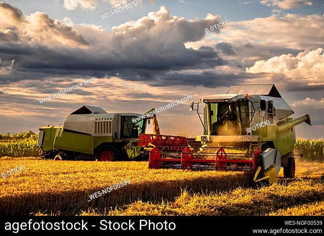 Combine harvester on wheat field under cloudy sky at sunset