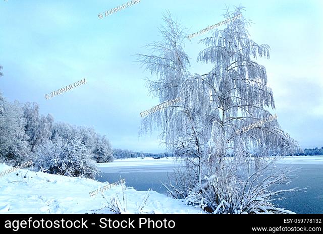 Winter landscape with trees, covered with hoarfrost and views on the frozen lake