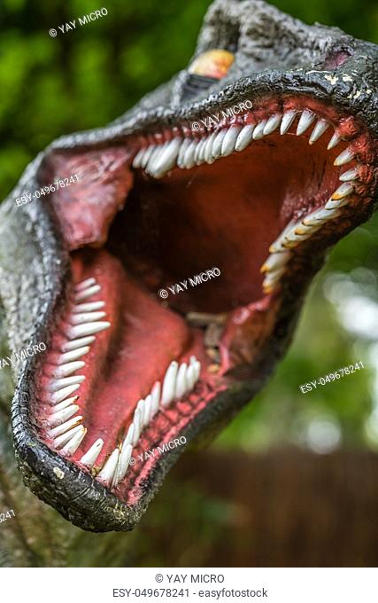 Sharp teeth in an open mouth of a Velociraptor dinosaur statue