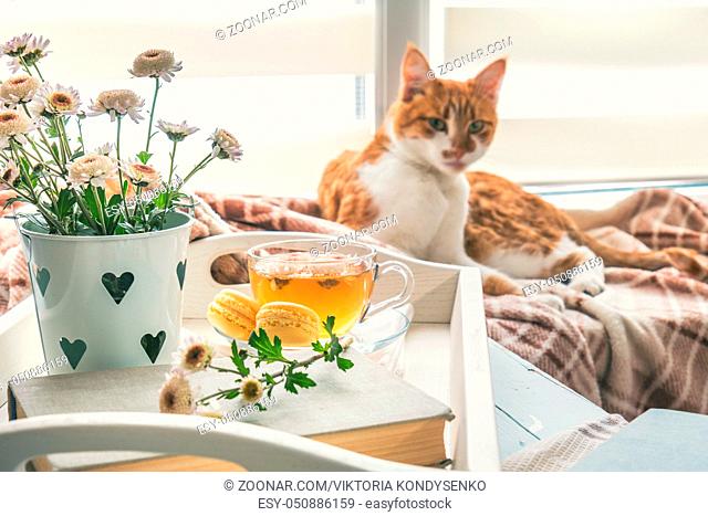 Sweet welcoming home with flowers, tea and a cat. Cozy house concept