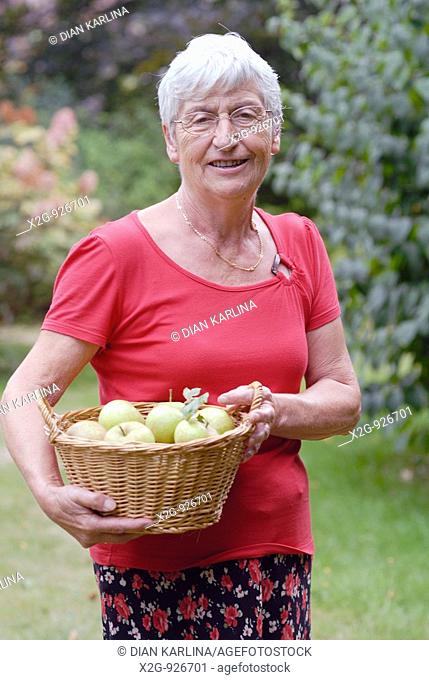 An old lady carrying a basket of green apples in a garden