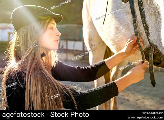 Woman fastening saddle on horse in paddock