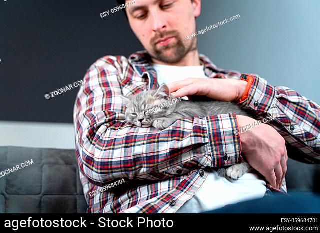 Pets love theme. Man very gently protects sleep of kitten breed British prime-eared holding in arms and stroking at home