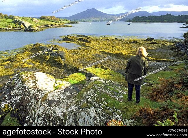 Ireland, Co. Kerry (2001). Inlet of the Kenmare River near Ardgroom on the Ring of Beara