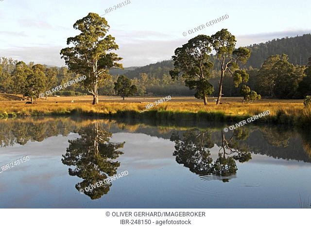 Lake near Launceston, Northern Tasmania, Australia