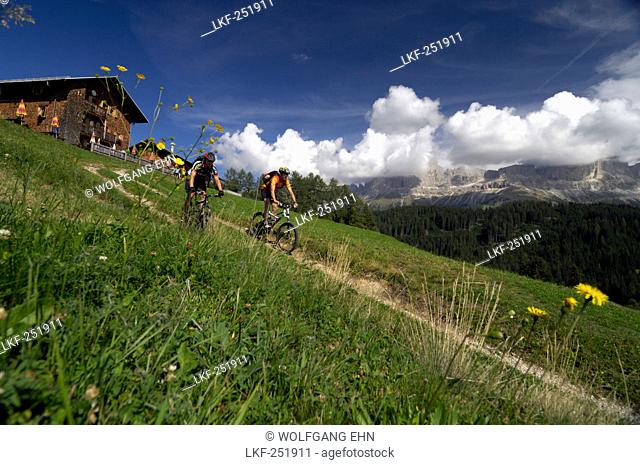 Two men on a mountainbike tour, MTB, near Welschnofen, Rosengarten Mountain Range, Dolomiten, South Tyrol, Italy, Europe