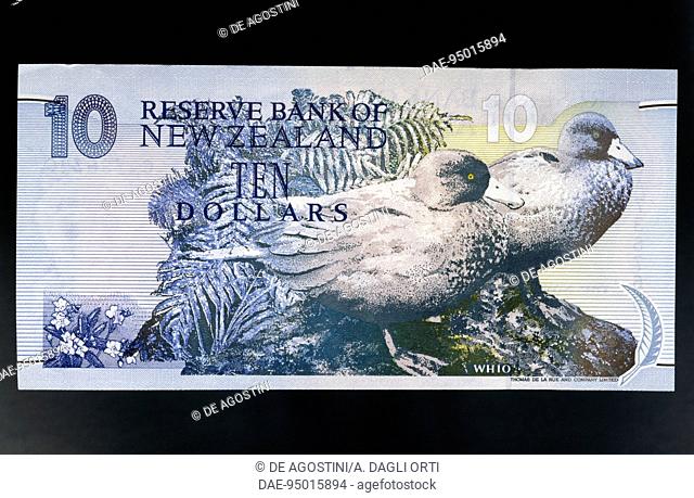 10 dollars banknote, 1995, obverse depicting ducks. New Zealand, 20th century