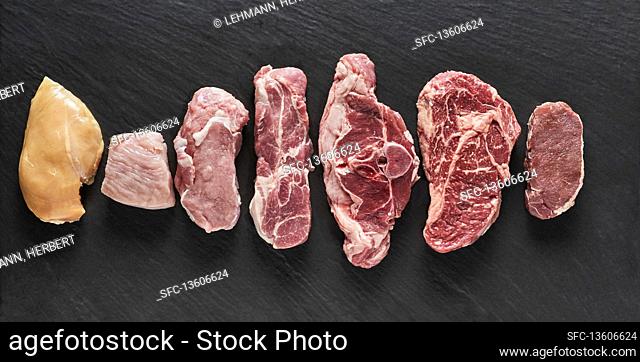 Various cuts of raw meat (turkey, chicken, pork, beef, lamb)