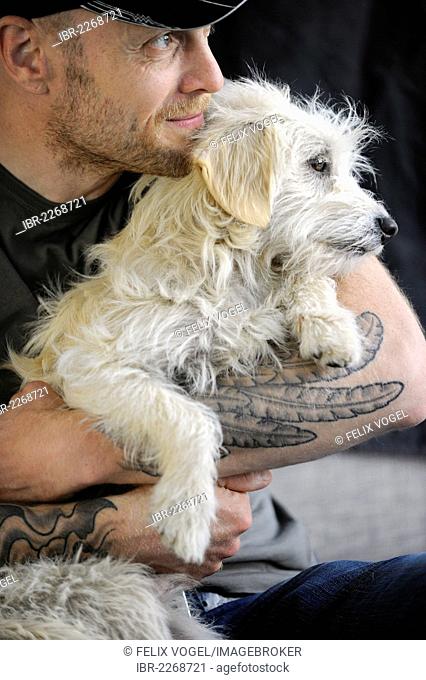 Mongrel terrier, one year, in the arms of his tattooed owner