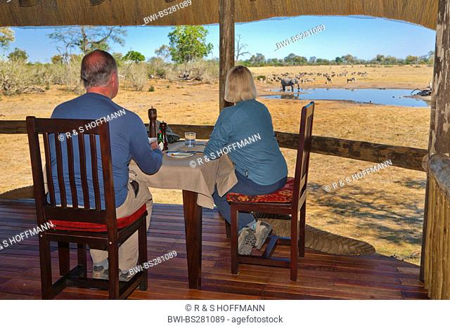 two tourists sitting on terrace of Savuti Camp and watching at elephant at water place, Botswana