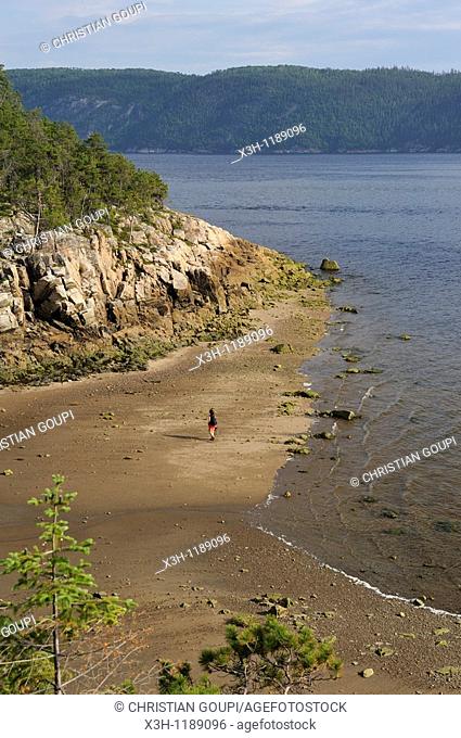 Anse de la Barge creek, Saguenay National Park, Baie Sainte-Marguerite, Province of Quebec, Canada, North America