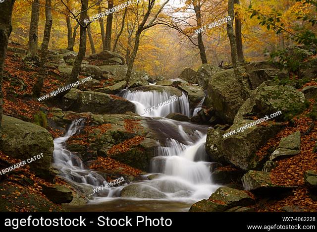 Riera de Passavets river, in autumn, in a heavy rain morning (Montseny, Catalonia, Spain)